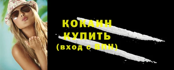 хмурый Гусев