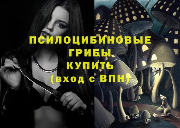мефедрон Гусиноозёрск