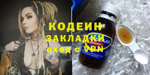 хмурый Гусев